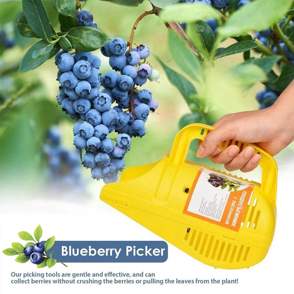Gardening Tools You Must Have - Raccoglitore di Mirtilli con Impugnatura Facile,