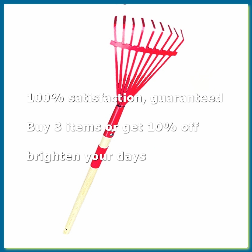 Gardening Tools For 3 Year Old - Rastrello per bambini con manico in