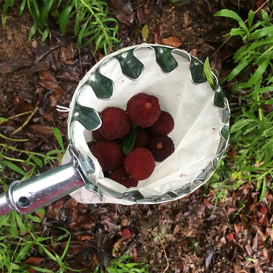 Gardening Tools Basket - Robusto Cesto Raccoglitore di Frutta, Attrezzo