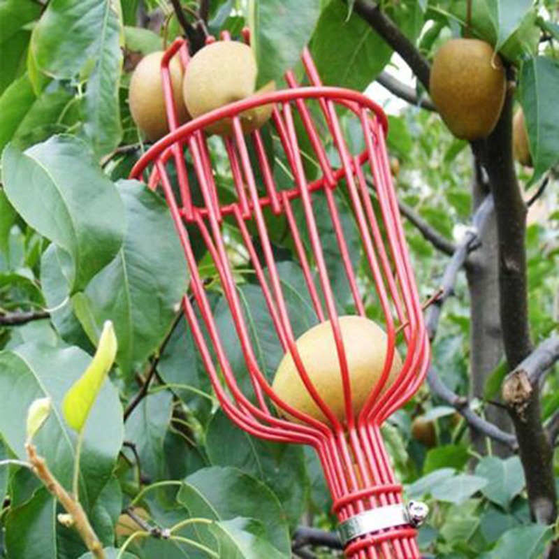 Gardening Tools Basket - Raccogli Frutta Profondo Portatile con Cesto,