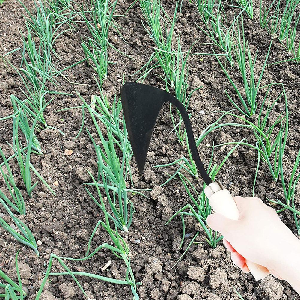 Attrezzi Agricoli: Zappa Trian - Gardening Tools For Weeds recensione e prezzo