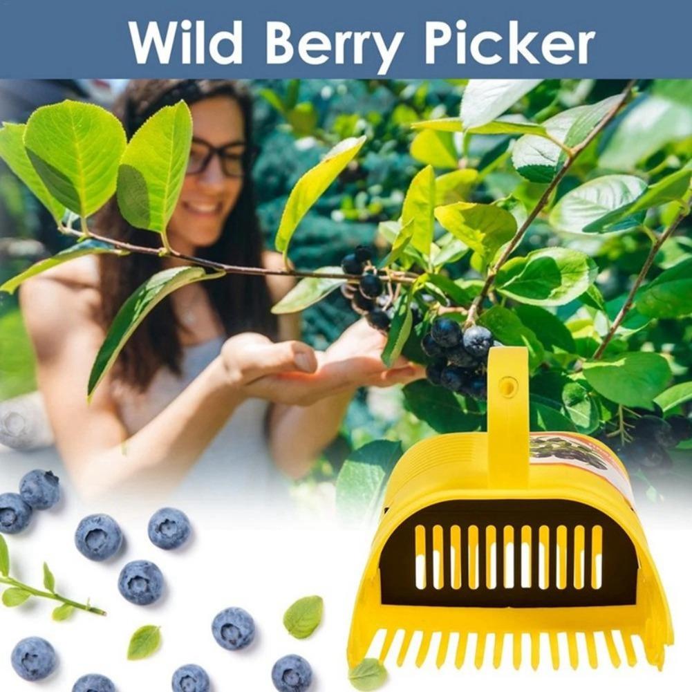 Raccoglitore di Mirtilli con I - Gardening Tools You Must Have recensione e prezzo