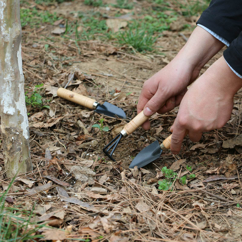 3 pz/set Mini Set di Attrezzi  - Gardening Tools For Weeds recensione e prezzo