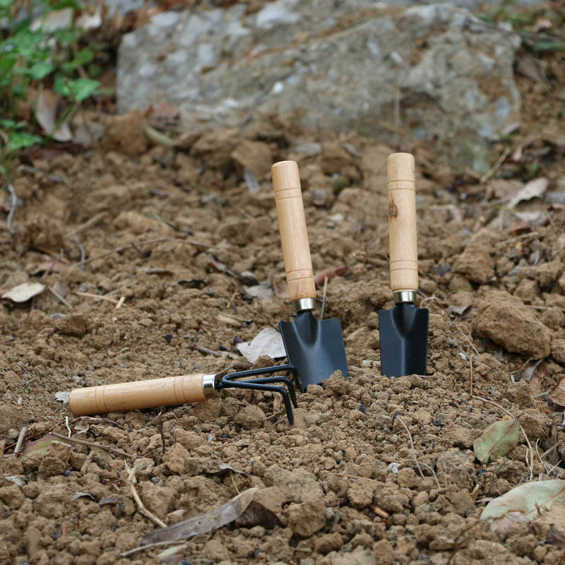 3 pz/set Mini Set di Attrezzi  - Gardening Tools For Weeds recensione e prezzo