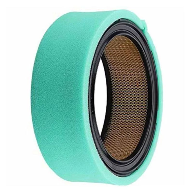 Filtro dell'aria indispensabil - Gardening Tools You Must Have recensione e prezzo