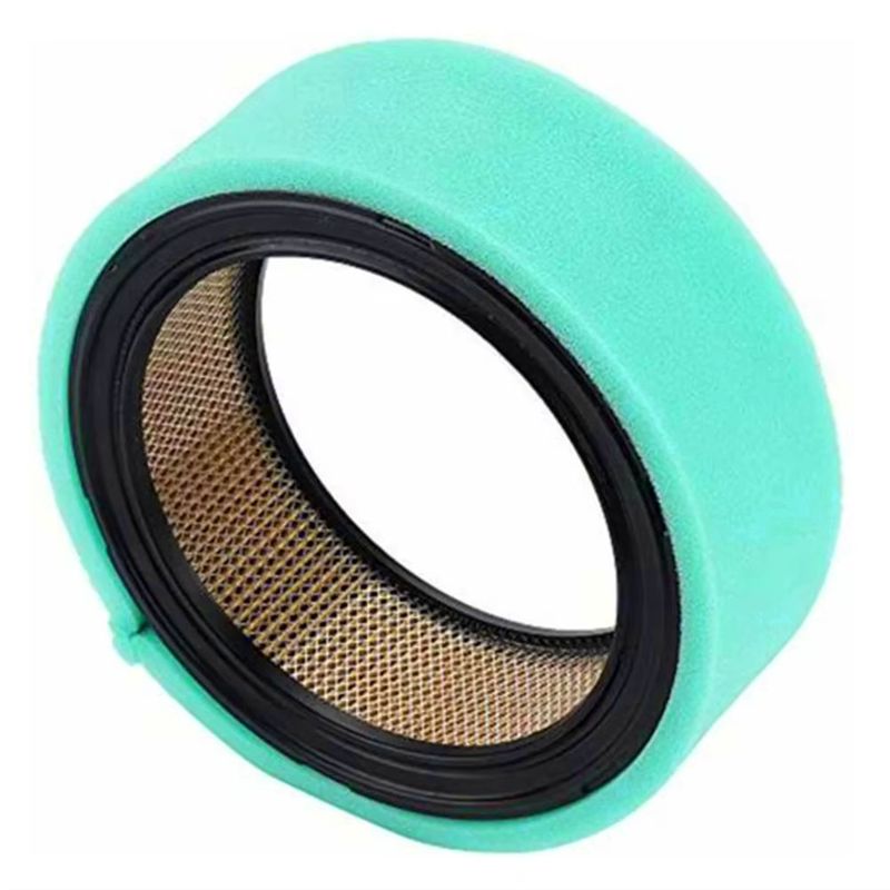 Filtro dell'aria indispensabil - Gardening Tools You Must Have recensione e prezzo