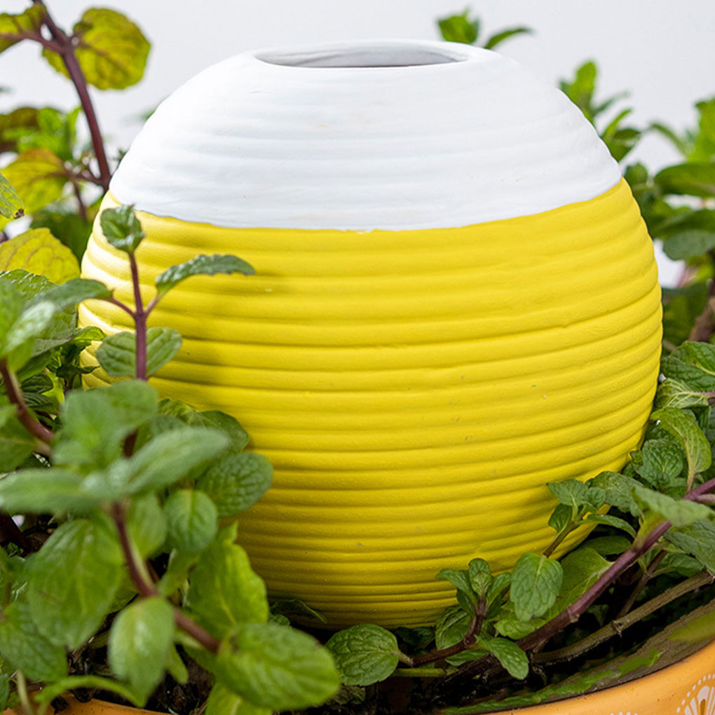 Strumento automatico per l'irr - Gardening Tools You Must Have recensione e prezzo