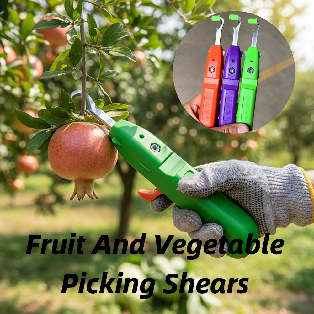 Forbici per la Raccolta di Fru - Gardening Tools Basic recensione e prezzo
