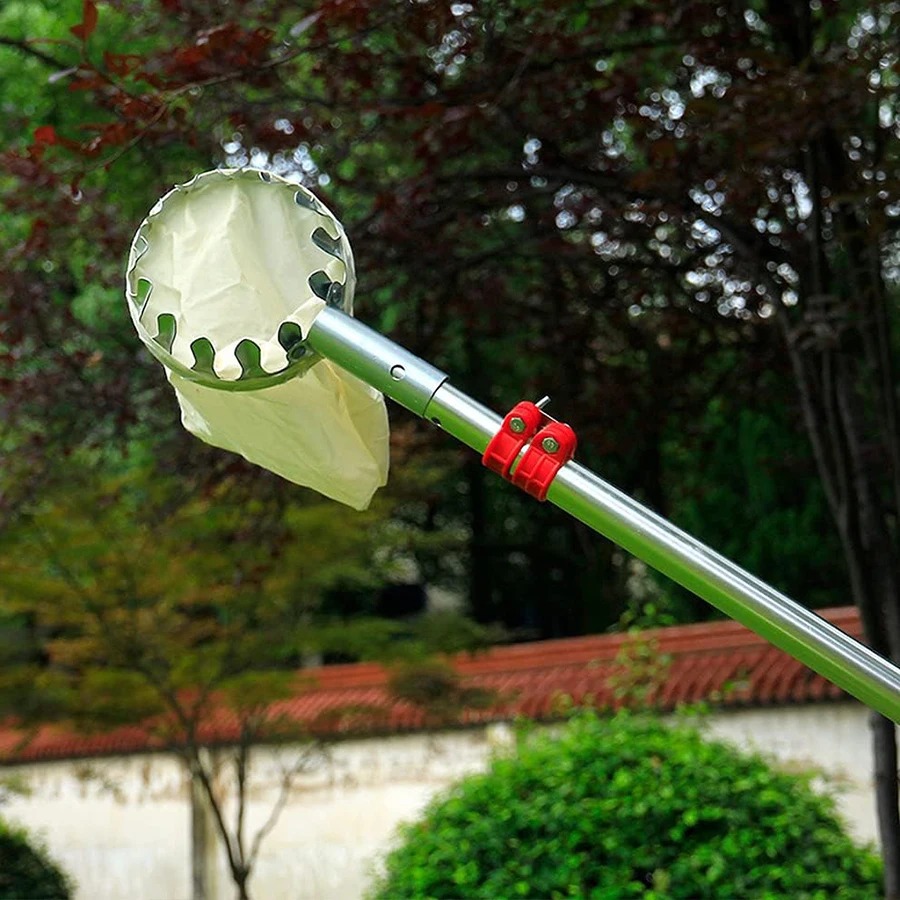 Robusto Cesto Raccoglitore di  - Gardening Tools Basket recensione e prezzo