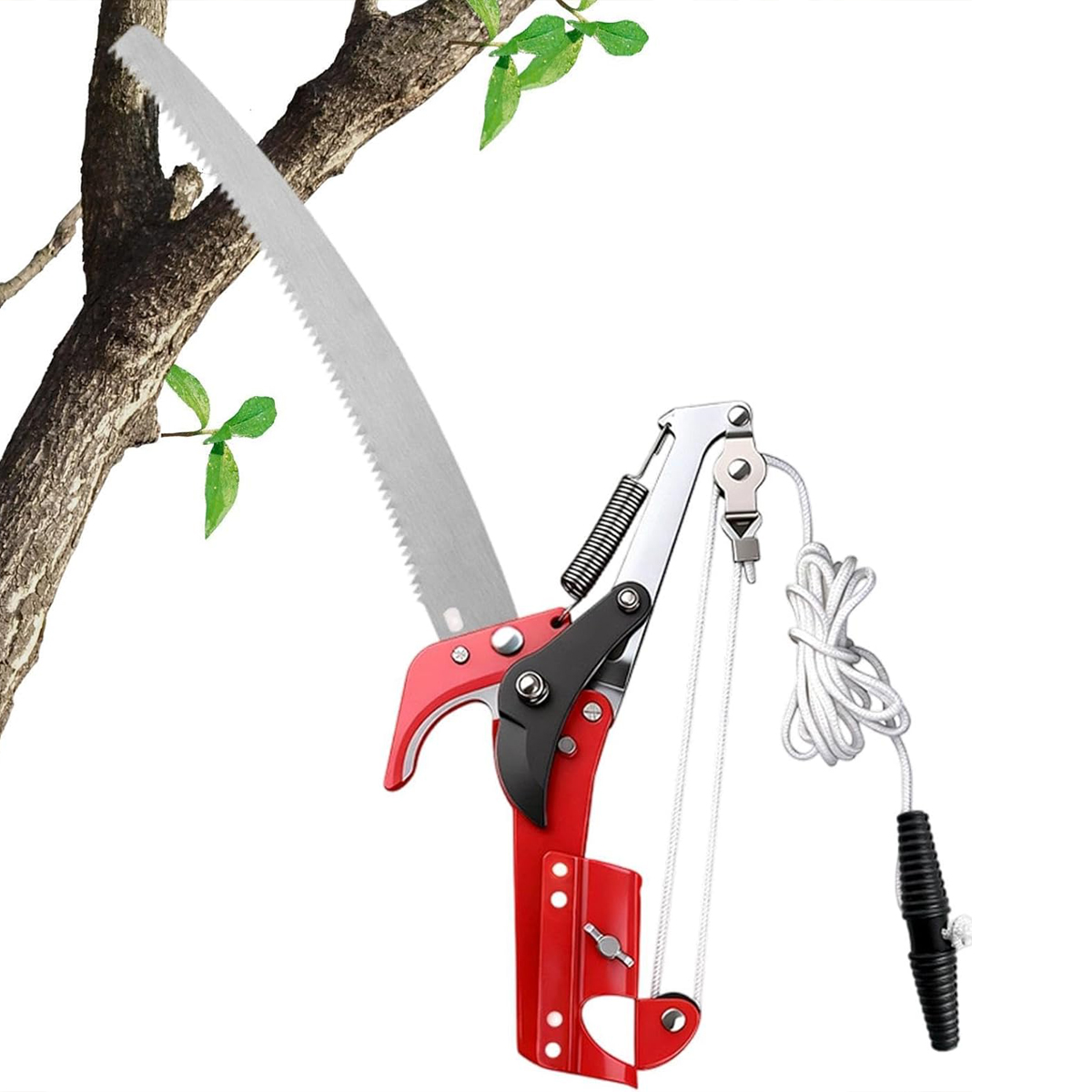 Forbici da potatura per alta q - Gardening Tools Shop recensione e prezzo