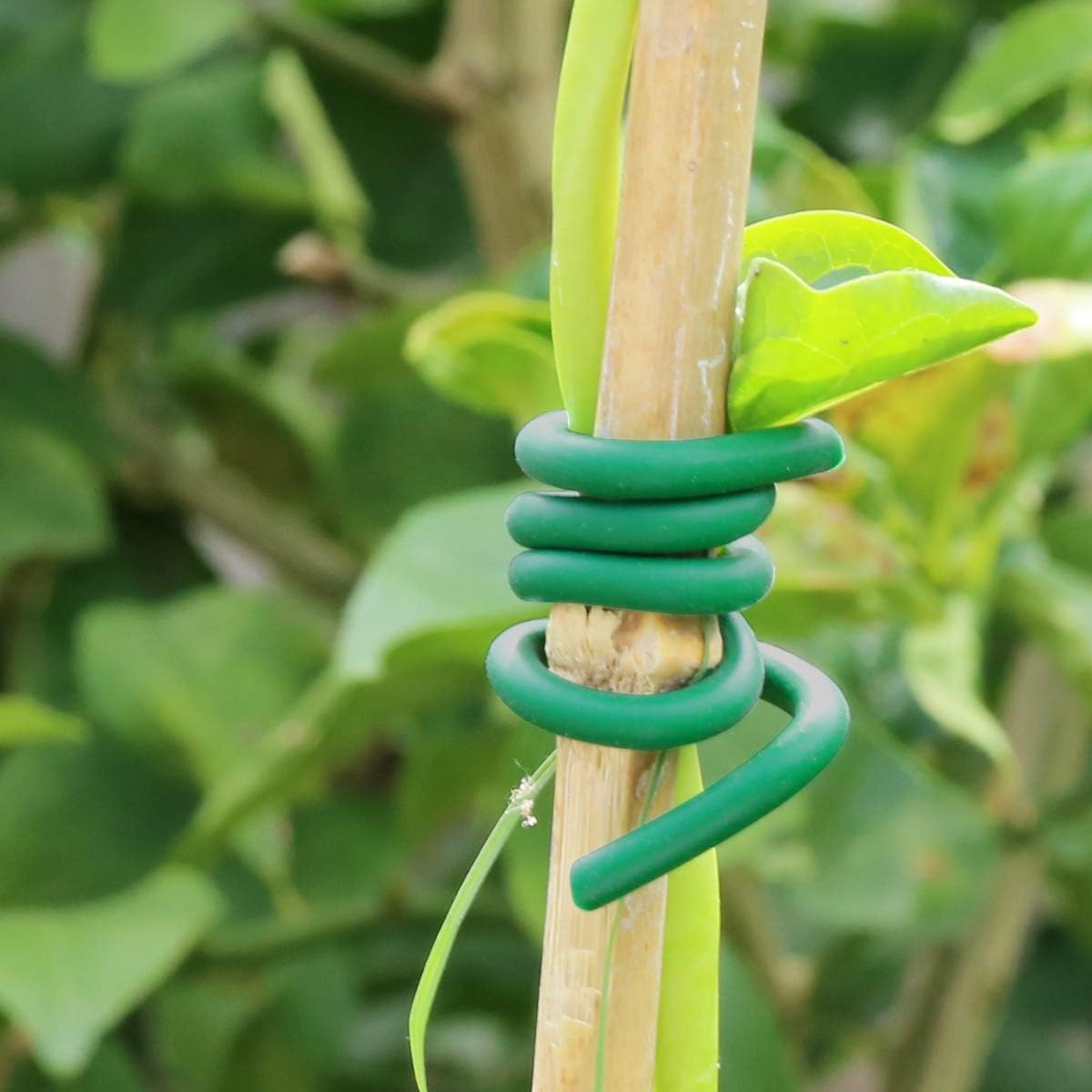 Fascette per Piante Rampicanti - Garden Wire Twist Tie recensione e prezzo