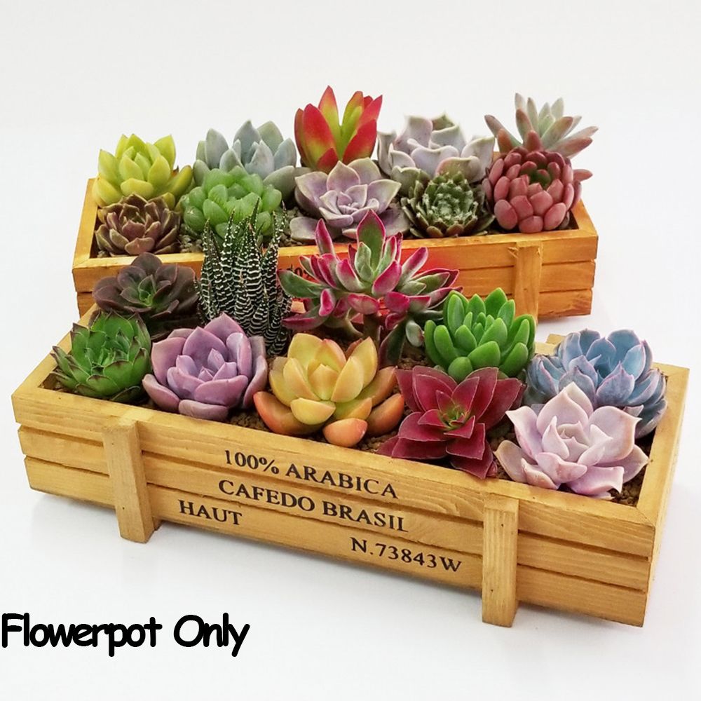 1 PC Strumenti Decorazioni da  - Gardening Tools Vintage recensione e prezzo