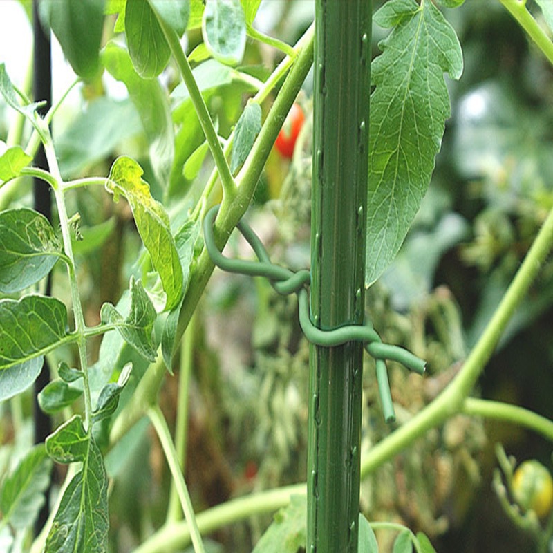 Giardinaggio Piante riutilizza - Garden Wire Twist Tie recensione e prezzo