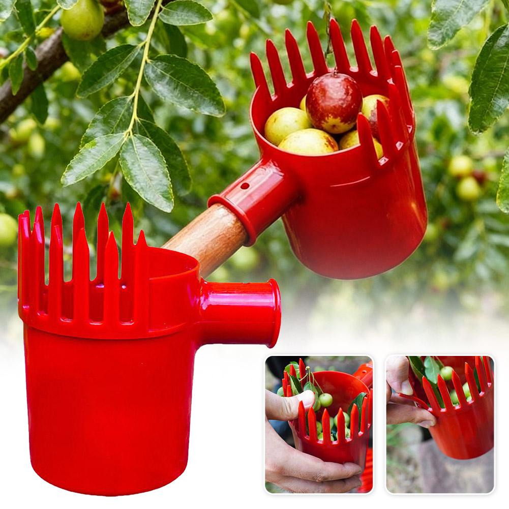 Raccogli Frutta Portatile con  - Gardening Tools Basket recensione e prezzo