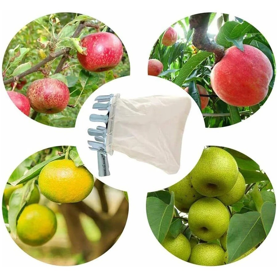 Raccogli Frutta Professionale: - Gardening Tools Basket recensione e prezzo
