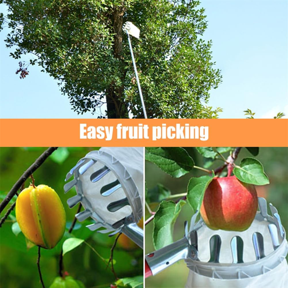 1 strumento raccoglitrice di f - Gardening Tools Basket recensione e prezzo
