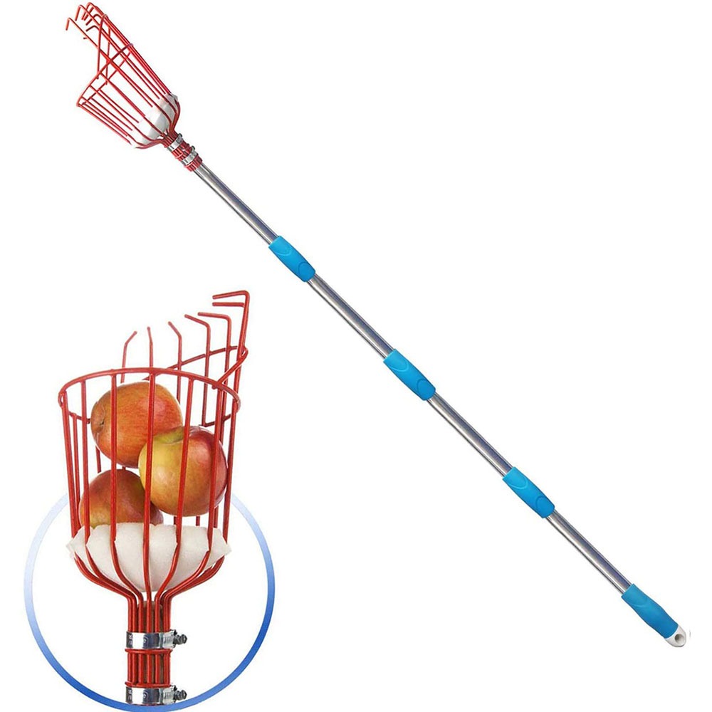 Raccoglitore di Frutta da 260  - Gardening Tools Basket recensione e prezzo